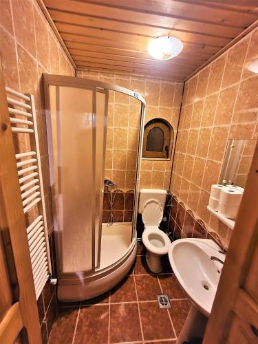 a bathroom with a shower and a toilet and a sink at Vila Luca's in Cârțișoara