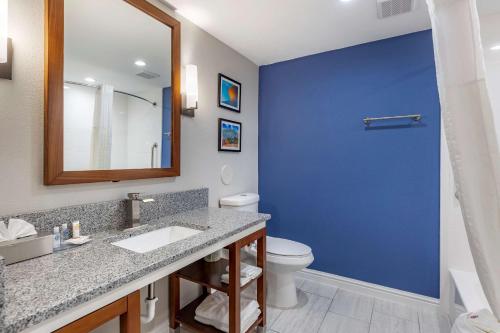 Comfort Suites St Louis - Sunset Hills Image