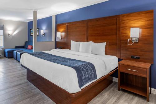 a bedroom with a large bed and a blue wall at Comfort Suites St Louis - Sunset Hills in Saint Louis