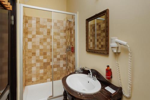 a bathroom with a sink and a shower at Conacul Archia in Deva