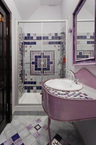 a bathroom with a sink and a shower at Conacul Archia in Deva