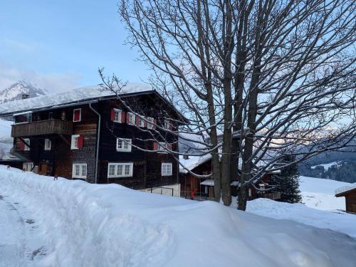 a snow covered building with a tree in front of it at Tgesa Frena in Sedrun