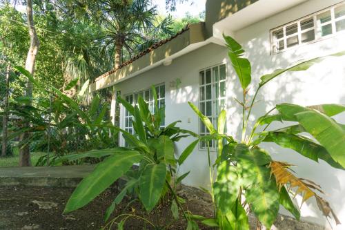 Hotel Villas Bambu – Photos 2