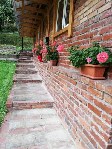 a brick wall with potted plants on the side of a house at Casuta Azughia in Azuga