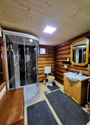 a bathroom with a shower and a toilet and a sink at Cabana Lupilor in Tău Bistra