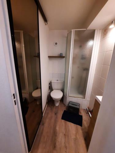a small bathroom with a toilet and a shower at Superbe appartement cosy, proche port et plage in Leucate