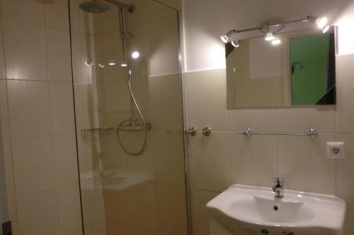 ein Bad mit einer Dusche, einem Waschbecken und einem Spiegel in der Unterkunft Gästezimmer Vogelsberg in Freiensteinau