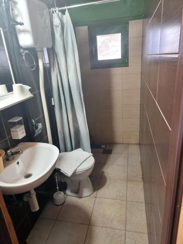 a bathroom with a sink and a toilet and a shower at Mala koliba Dolina mira in Pale