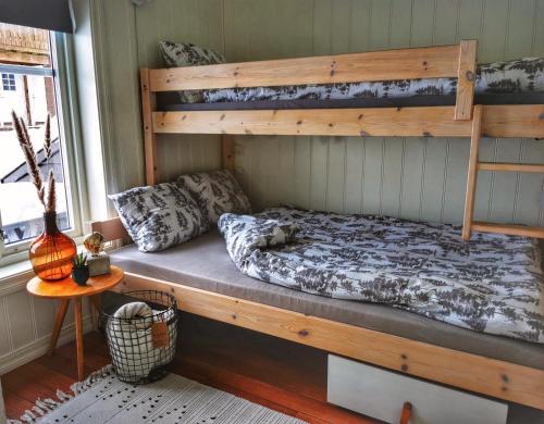 a bedroom with a bunk bed with a cat sleeping on it at Bjørkelia Lodge in Vassenden