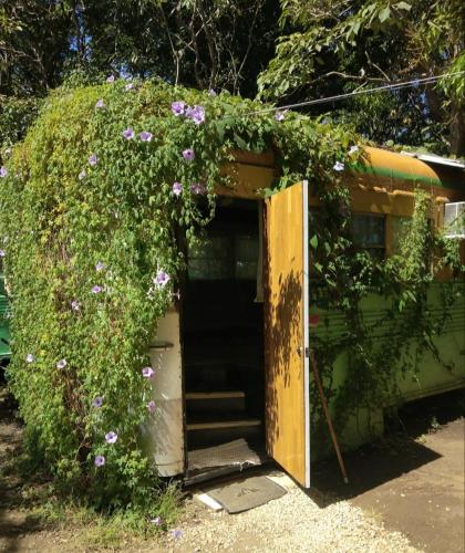 an open door in a bush with purple flowers at Hospedaje Combi dream bird in Guanacaste