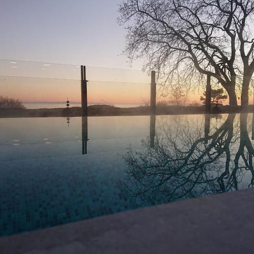 a pool of water with a tree in the background at Smygehus Havsbad in Smygehamn