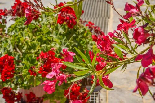 Gambar di galeri bagi Emilia's Little Farmhouses di Agii Anargiri Milos