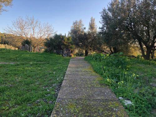 a path in a field with trees and grass at Finca es Rafal, Agroturisme in Montuiri