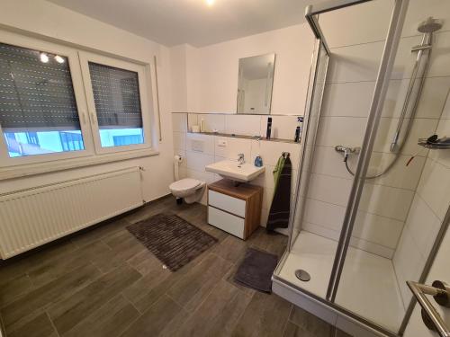 a bathroom with a toilet and a sink and a shower at Pension Im Wiesengrund Steinau Marborn in Steinau an der Straße