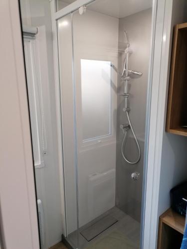 une douche avec une porte vitrée dans une salle de bain dans l'établissement Les Pins del Sol - camping la réserve, à Gastes