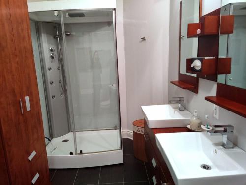 a bathroom with a shower and a sink at Le 201 Champlain Bromont in Bromont