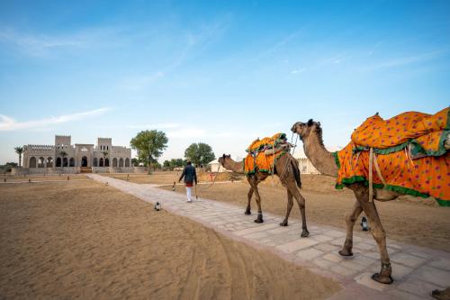 Huéspedes de Karwaan Jaisalmer