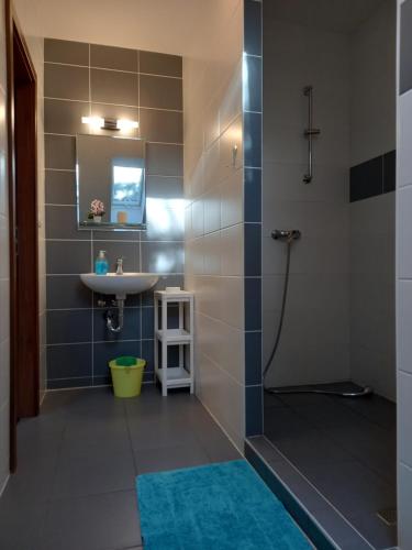 a bathroom with a shower and a sink and a shower at Alegria Natur Apartments in Mikulov