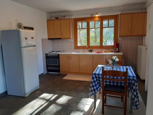 een keuken met een witte koelkast en een tafel met een stoel bij Σπίτι σε ελαιώνα, house in an olive grove in Ária