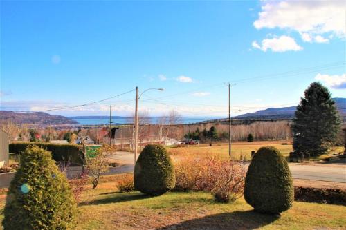 a group of bushes in a field with a street at Spa, sauna et foyer : Le Phare de Baie-Saint-Paul in Baie-Saint-Paul