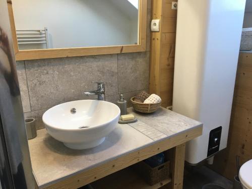 a bathroom with a white sink and a mirror at Les Gîtes du Lachat in Saint-Sylvestre