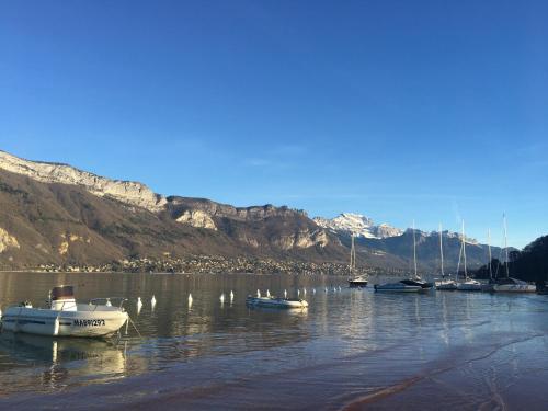 a group of boats in a body of water with mountains at Les Gîtes du Lachat in Saint-Sylvestre