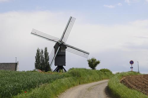 a windmill sitting on the side of a dirt road at Gastenhof Ter Lombeek in Onze-Lieve-Vrouw-Lombeek