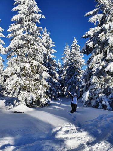 Czarna Góra Apartament ISCHGL 18