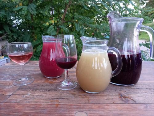 a table with three glasses of wine and a vase at Alegria Natur Apartments in Mikulov