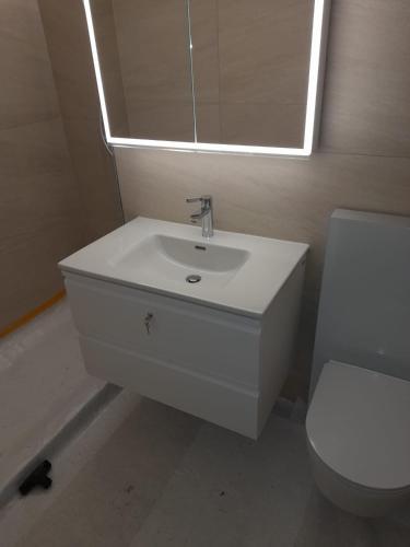 a bathroom with a sink and a toilet and a mirror at Panorama in Villars-sur-Ollon