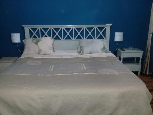 a bedroom with a large bed with a blue wall at Óga Rory in Corrientes
