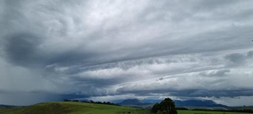 a cloudy sky over a green field with a tree at J&B Lodge in Underberg