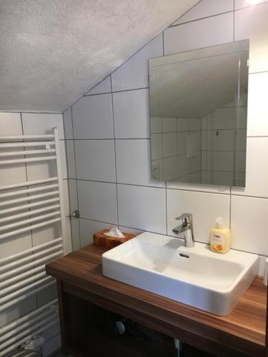 a bathroom with a white sink and a mirror at Landhaus Holzereck in Ehrwald