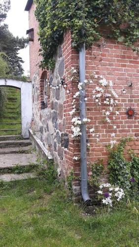 Große Ferienwohnung in Flecken Zechlinにある庭