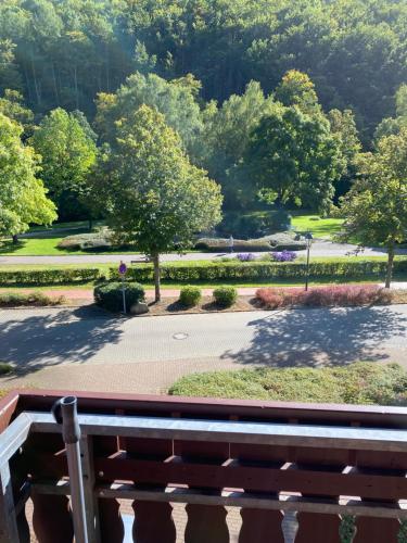a view of a park with trees and a bench at Apartment am Park in Bad Lauterberg