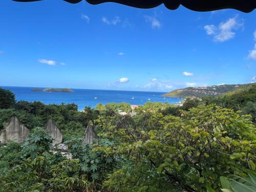 a view of the ocean from a hill with trees at Grand Kaz'Amour - 3 étoiles in Bouillante
