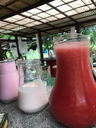 Minuman di Canyon Cascata Eco Parque