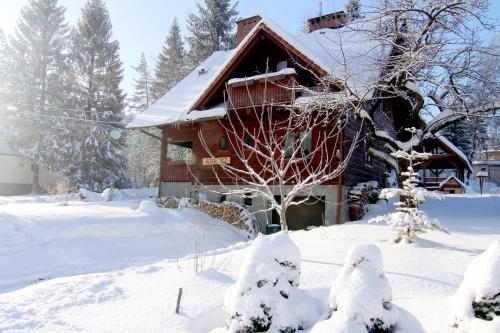 a house in the snow with snow covered trees at Chata Góralska Aggeusz in Wisła