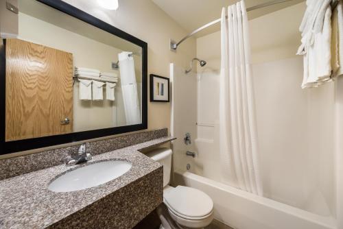 a bathroom with a sink and a toilet and a shower at Quality Inn & Suites near NAS Fallon in Fallon