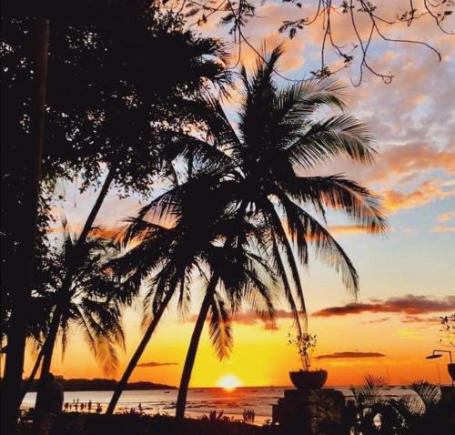 two palm trees in front of a sunset at Tamarindo Condo 206 Matapalo in Tamarindo
