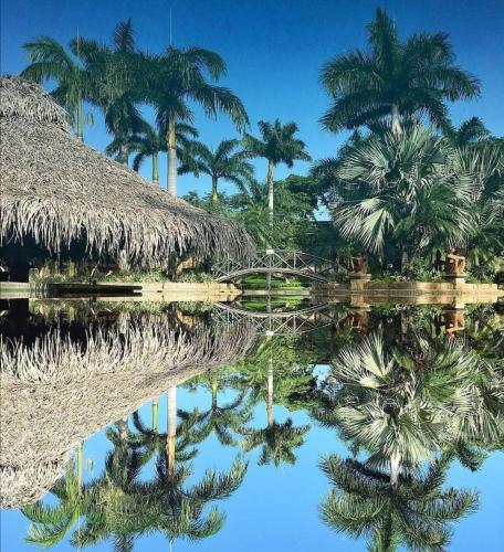 a reflection of palm trees in the water at Tamarindo Condo 206 Matapalo in Tamarindo