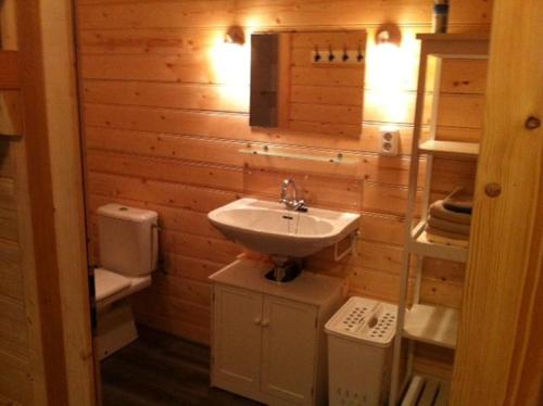 un piccolo bagno con lavandino e WC di B&B Hofstede De Groote Laar a Spankeren