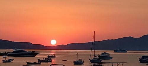 Φυσικό τοπίο κοντά σε αυτό το διαμέρισμα