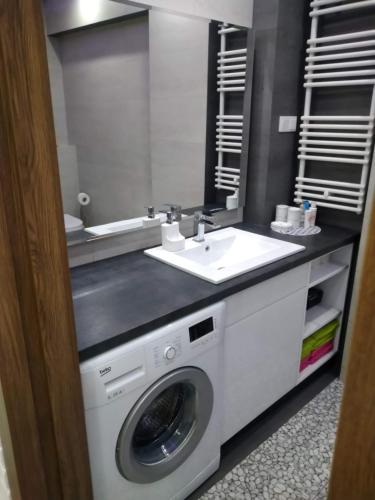 y baño con lavadora y lavamanos. en apartament rodzinny, en Krynica-Zdrój