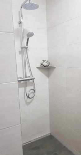 a shower with a shower head in a bathroom at Ferienhof Broger FeWo Obstbäumle mit Pool in Neukirch