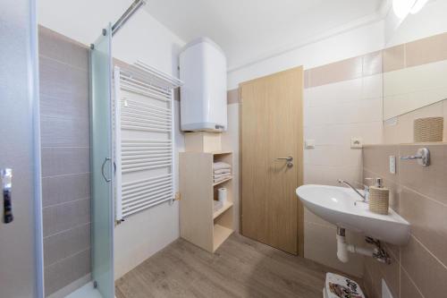 a small bathroom with a sink and a shower at Apartmán Sophia 2 in Velké Losiny