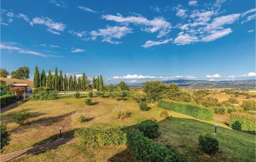 an overhead view of a field with trees and bushes at Seranna 2 in Papiano