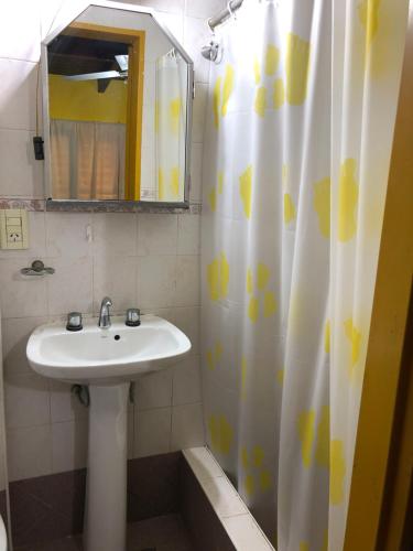 a bathroom with a sink and a shower curtain at Chepoya Apart in Posadas