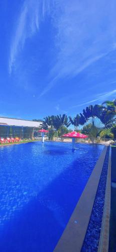 a large swimming pool with blue water and palm trees at Bao Dien Guesthouse in Bao Loc