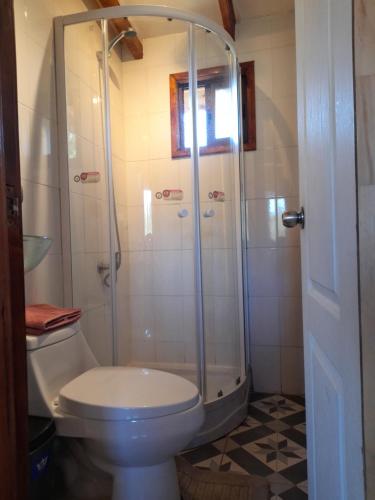a bathroom with a shower and a toilet in it at Cabaña Radal C/ Tinaja in Los Lagos